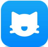 奇迹猫免费小说