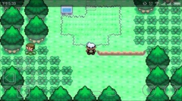 口袋妖怪神兽领域汉化版 v2021.09.23.22