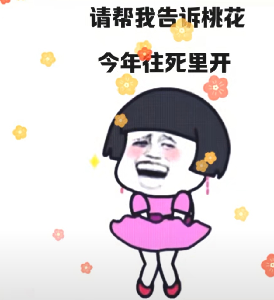 请帮我告诉桃花今年往死里开表情包图片 v1.0