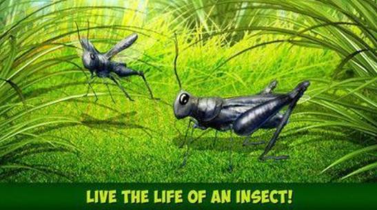 蝗虫模拟器 v1.0.0