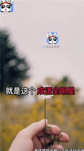 成语全明星红包版2023  v2.8.2