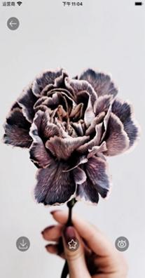 七天壁纸精选 v1.3.2