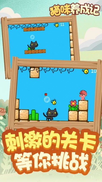 猫咪养成记 v0.1 安卓版