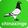 中信网