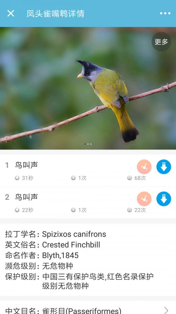 鸟叫声大全 版本:v3.5.8