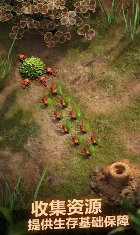 荒野蚂蚁模拟游戏官方手机版  v4.4.2