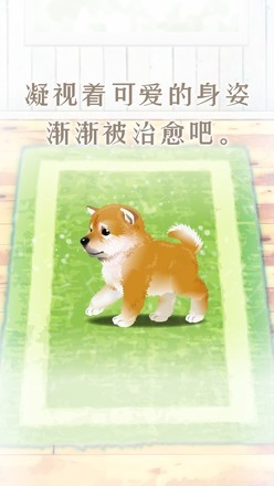 柴犬模拟器3D 2024-06-25 15:08