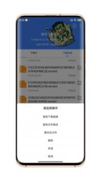 浩克 v2.0.5