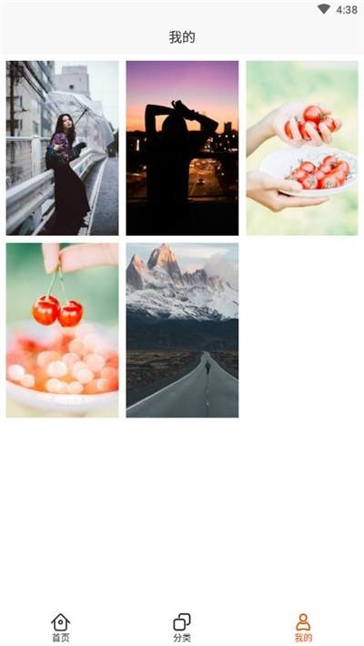 蜜蜂高清壁纸  v1.0