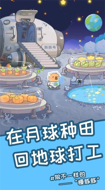 慢豚豚的生活  v1.0.4