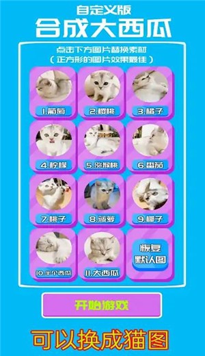 自定义合成大西瓜 v1.0.4