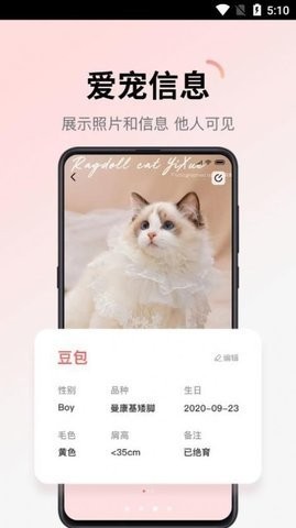 多仔宠物  v1.0.17