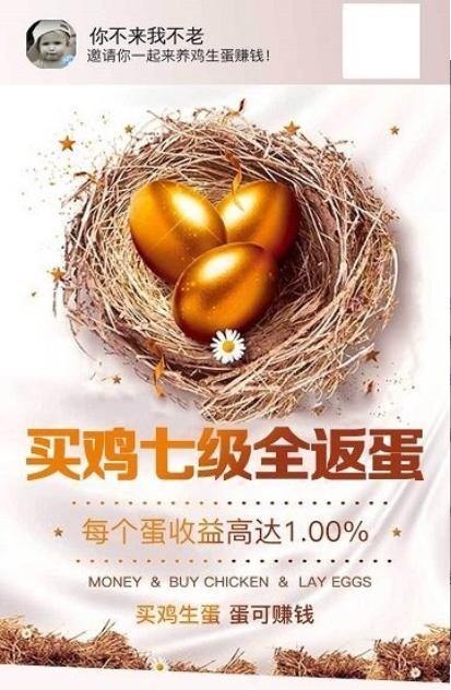橙光农场  v1.02