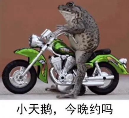 小天鹅我想你了约会吗表情包  v1.0