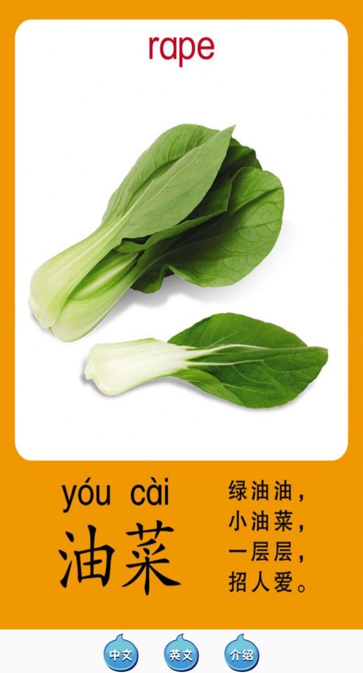 天天蔬果早教 v1.0