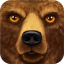 ForestSim(终极森林模拟器)