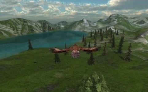 猎鹰之旅 2020-03-23 14:08