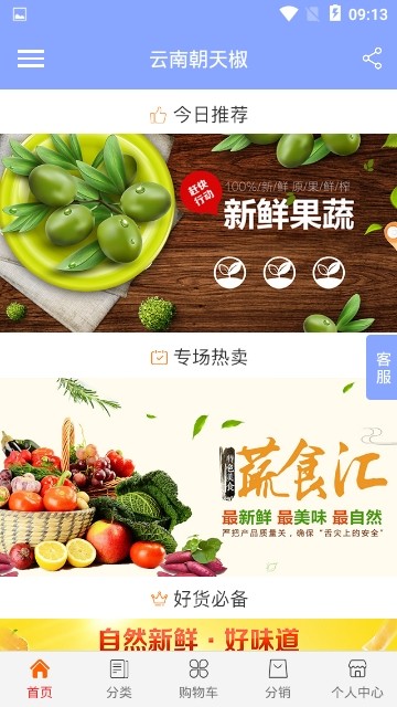 云南朝天椒