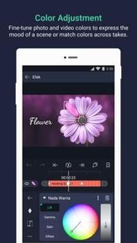alight montion v3.0.5