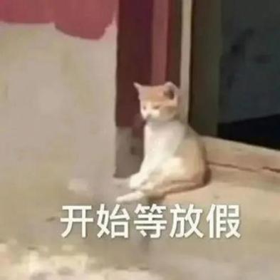 对象没了可以再谈良心没了谈的更多表情包 v1.0
