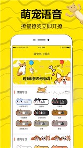 猫语交流翻译器  vV3.13.0396