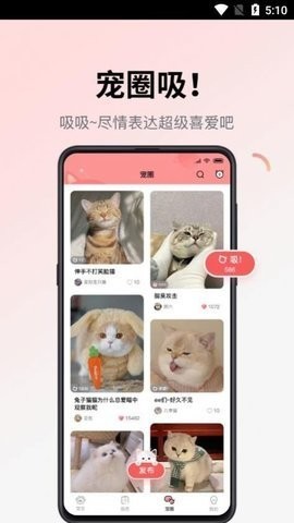 多仔宠物  v1.0.17