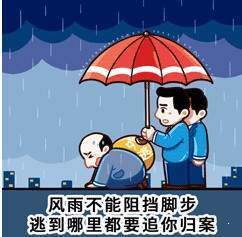 追逃追赃表情包 v1.0