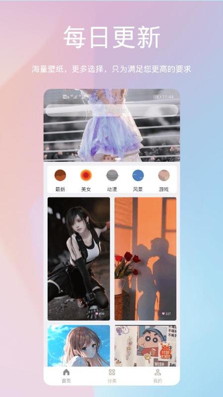 鹦鹉螺壁纸 v1.0.5