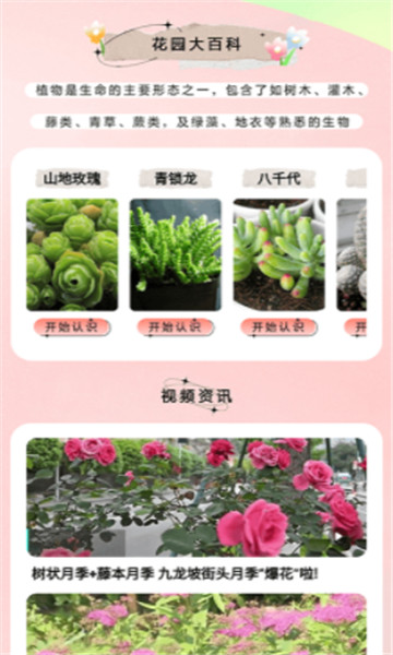 万物识图大师 v1.1