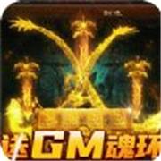 大战国GM魂环无限刀