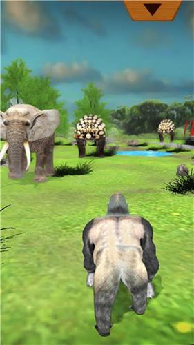 愤怒的金刚 2024-06-25 15:08