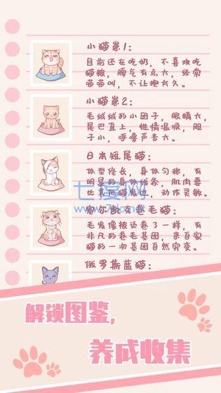 猫咪养成云撸猫