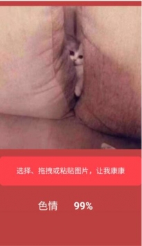 让我康康在线图片鉴黄工具 v3.1.5