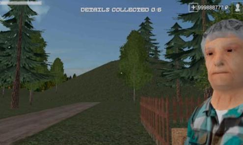 俄罗斯乡村模拟器 v1.6