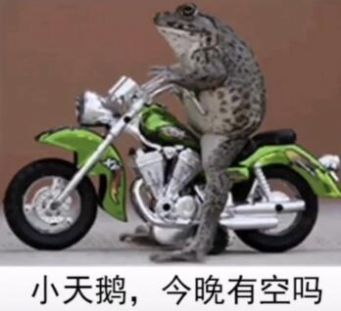 小天鹅我想你了约会吗表情包 