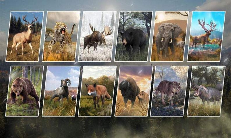 荒野猎鹿游戏最新版  v5.3.4