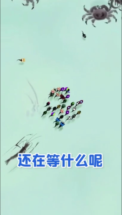 墨虾探蝌测试版 V1.0.4