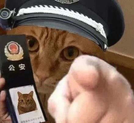 猫咪警察指人表情包.jpg 猫咪警察指人表情包.jpg