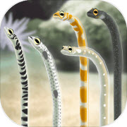 治愈的斑鳝花园Garden Eel