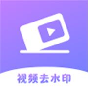 极速去水印大师