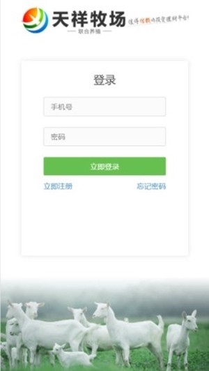 天祥牧场 2020-05-06 11:15