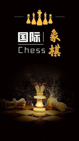 简单国际象棋安卓版  v1.1