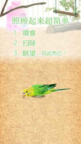 治愈的鹦鹉育成 v3.0.5