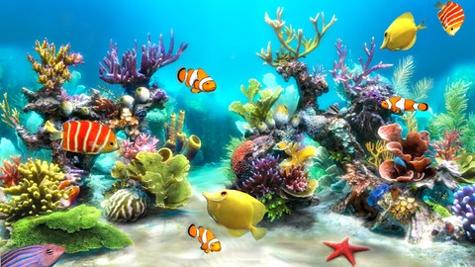 3D虚拟水族馆 Sim Aquarium 3D v3.1.5