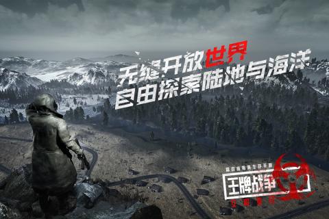 王牌战争九游版