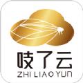 吱了云app官方版 