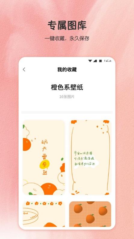 小王壁纸 v1.0.0