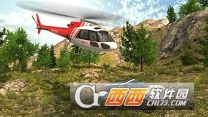 真实直升机模拟 真实直升机模拟