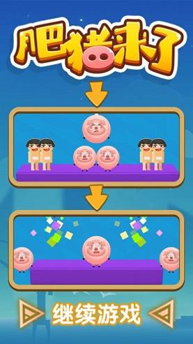 肥猪来了 v1.0.1