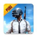 和平精英国际版体验服